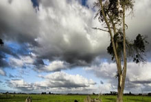 全球疫情最新消息今天