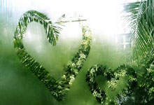 全球疫情最新消息今天