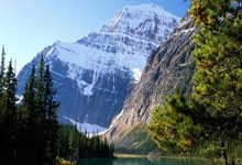 全球疫情最新消息今天