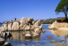 全球疫情最新消息今天