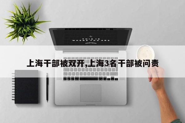 上海干部被双开,上海3名干部被问责