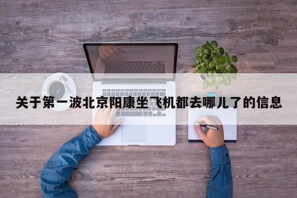 关于第一波北京阳康坐飞机都去哪儿了的信息