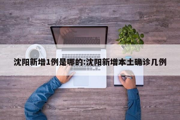 沈阳新增1例是哪的:沈阳新增本土确诊几例